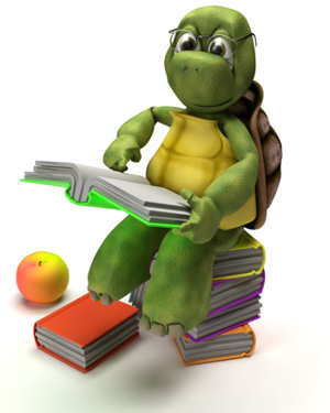 Turtle Reading Book